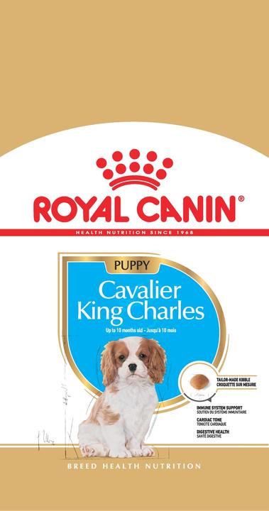 Produktbild Royal Canin Junior Cavalier Charles (Junior, 1 Stk., 1500 g)