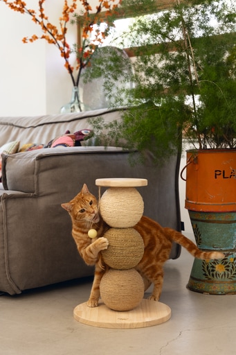 Immagine prodotto Designed by Lotte Elio (47.50 cm, Beige)