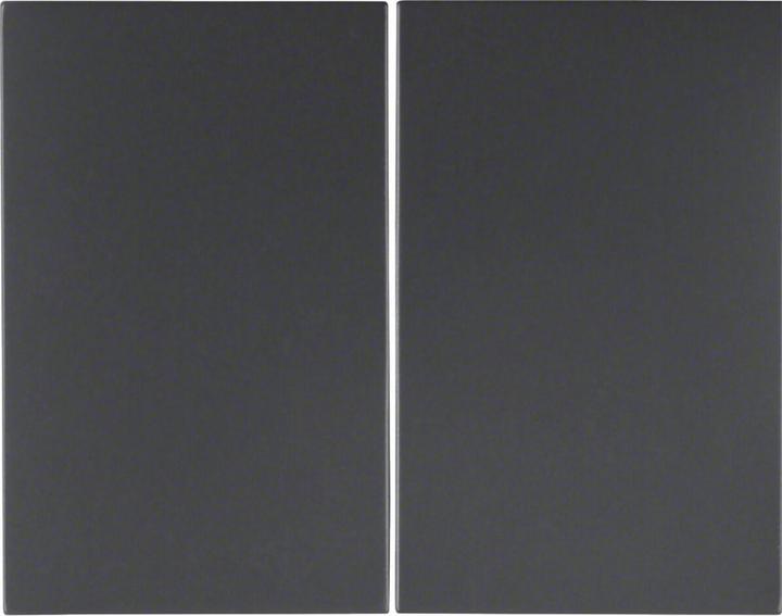 Produktbild Berker Wippe