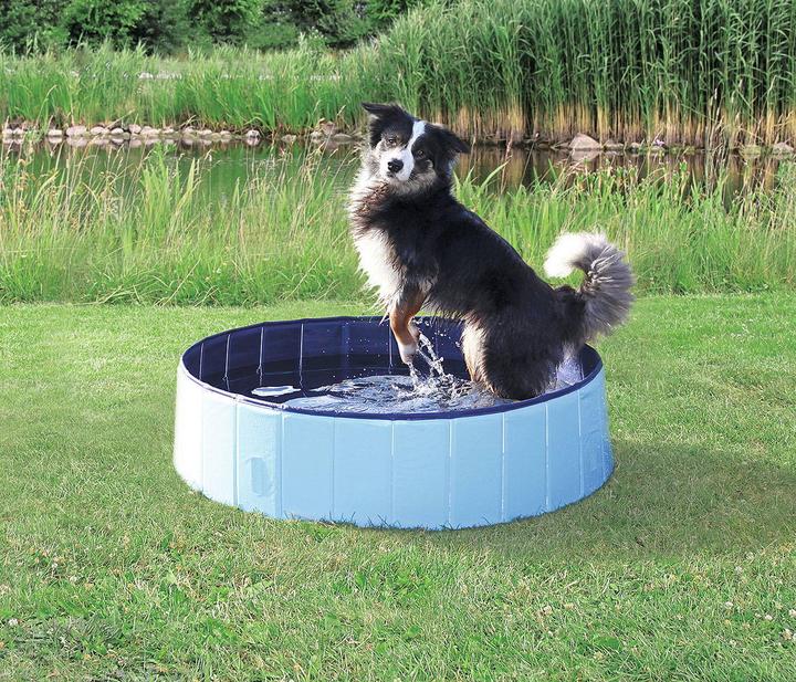 Immagine prodotto Trixie Piscina per cani (Piscina per cani)