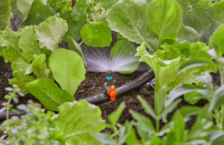 Actual product image Gardena Micro-Drip System (Drip hose + drip tube)