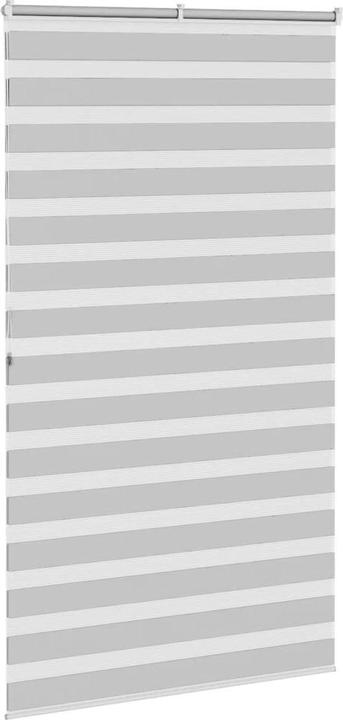 Produktbild vidaXL Zebra-Jalousie (125 x 200 cm)
