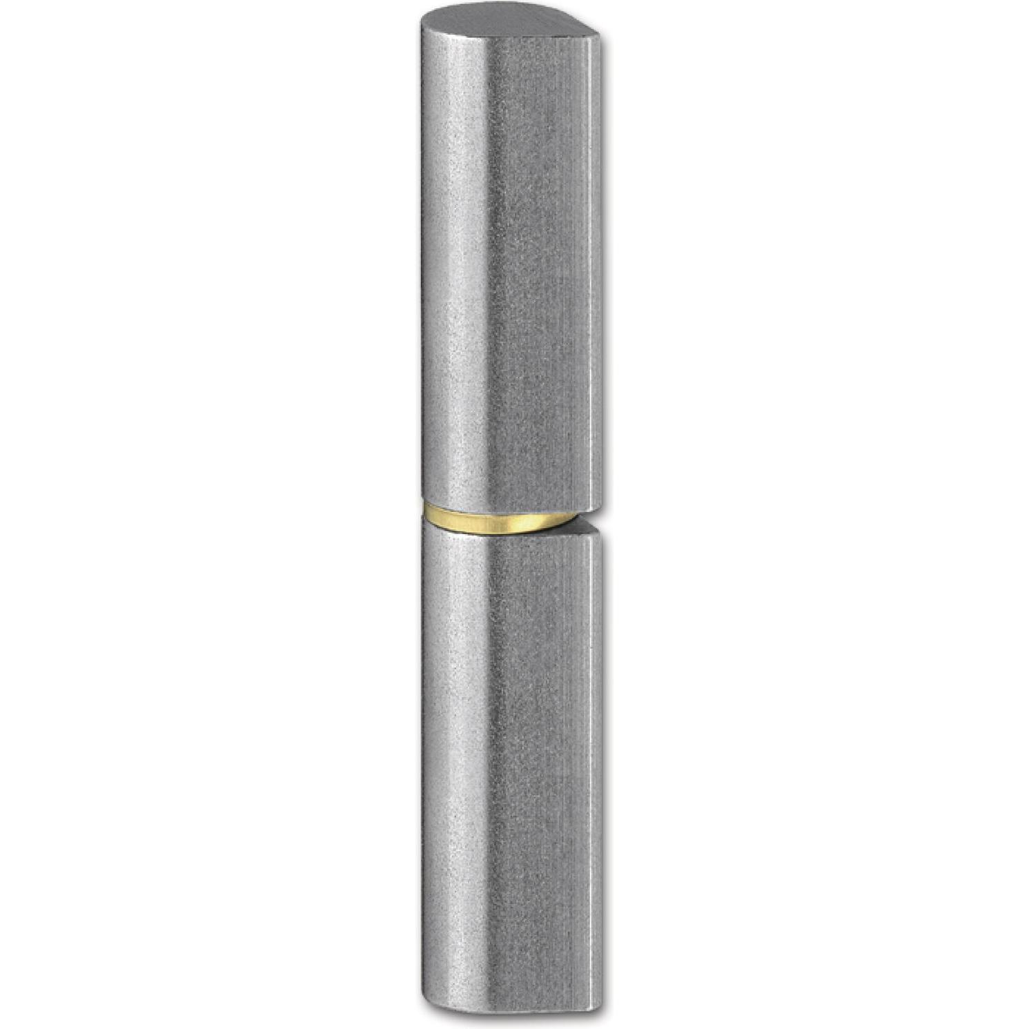 Ibfm, Türbeschlag + Scharnier, Bandrolle (Türband) ø 16 x 120mm mit Zwischenring Bandstift 6mm Stahl blank