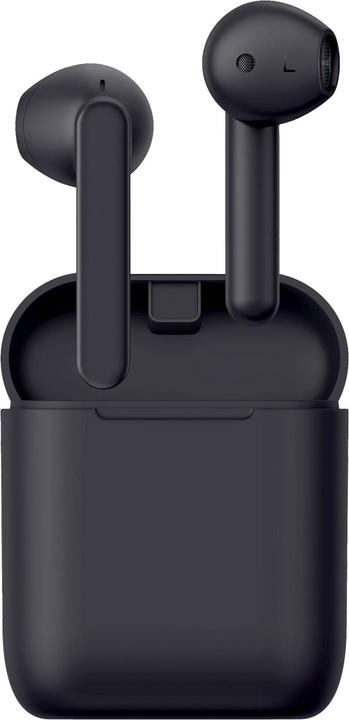 Champion Kabellose Knospen 100 TW100 (4 h, Kabellos)