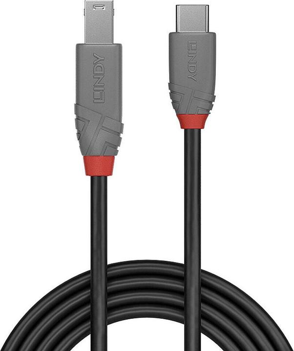 Image du produit Lindy Câble USB 3.2 type C vers B, Anthra Line (0.50 m)