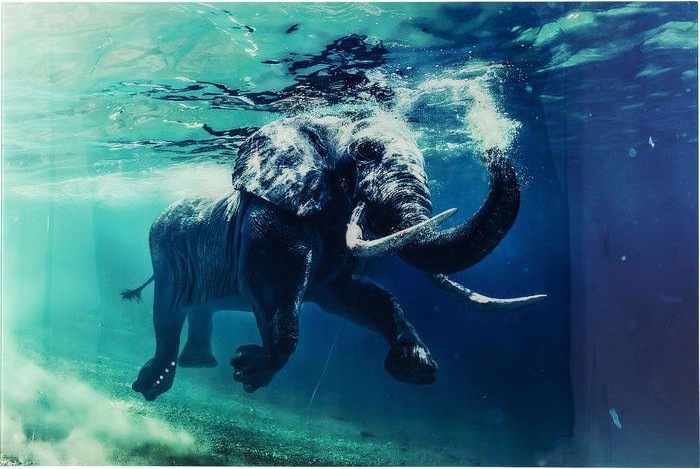 Produktbild Kare Design Bild Glas Swimming Elephant 80X100cm (80 x 100 cm)