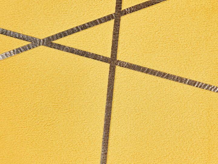 Image du produit Beliani Lot de 2 Pinus (45 x 45 cm)