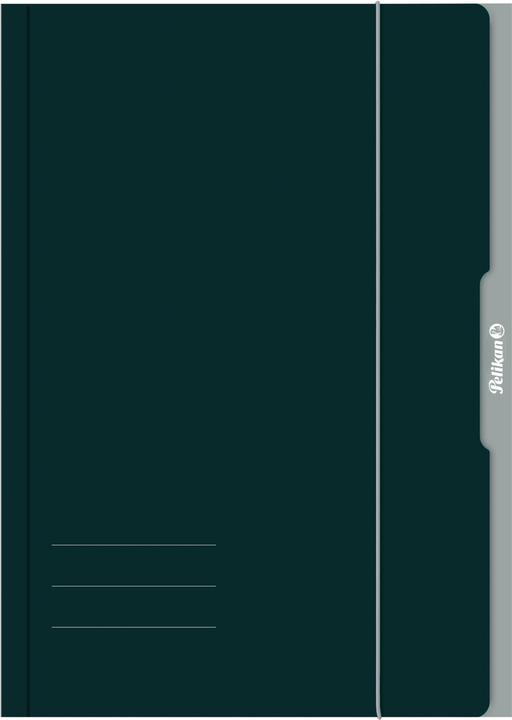Actual product image Pelikan Folder, drawing folder folder A4 assorted colours FSC (A4, 1 x)