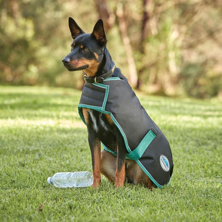 Actual product image Weatherbeeta Dog Coat Greentec Medium Weight (25, Dog coat)