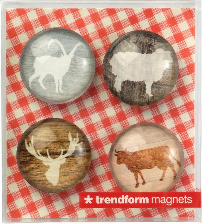 Produktbild Trendform EYE-Magnete ALP LIFE (4x)