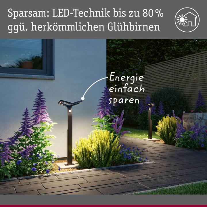 Image du produit Paulmann Borne d'éclairage Alara (600 lm, IP44)
