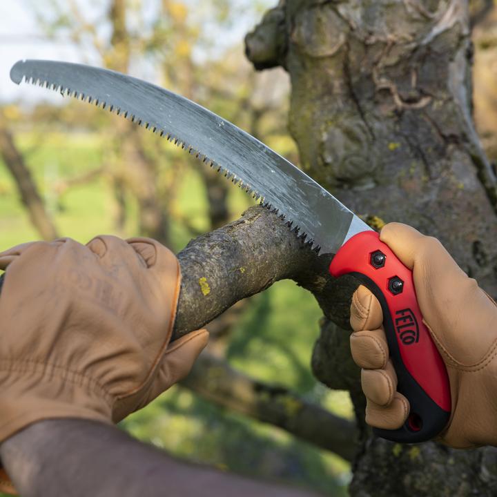 Image du produit Felco Scie à arbre 630