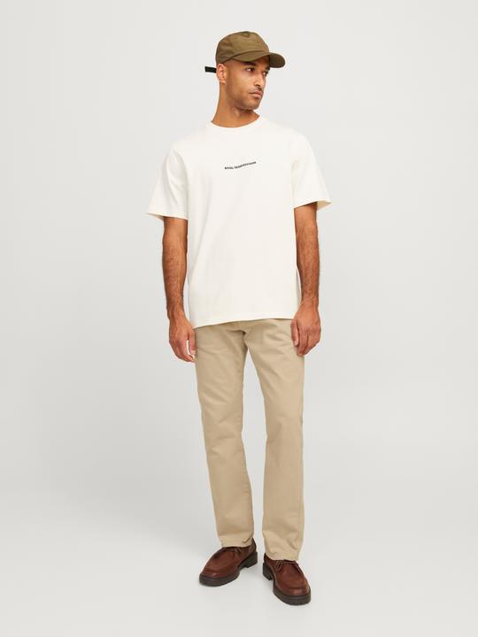 Actual product image Jack & Jones RDD Chris Royal RE 850 Trousers (W34/L34)
