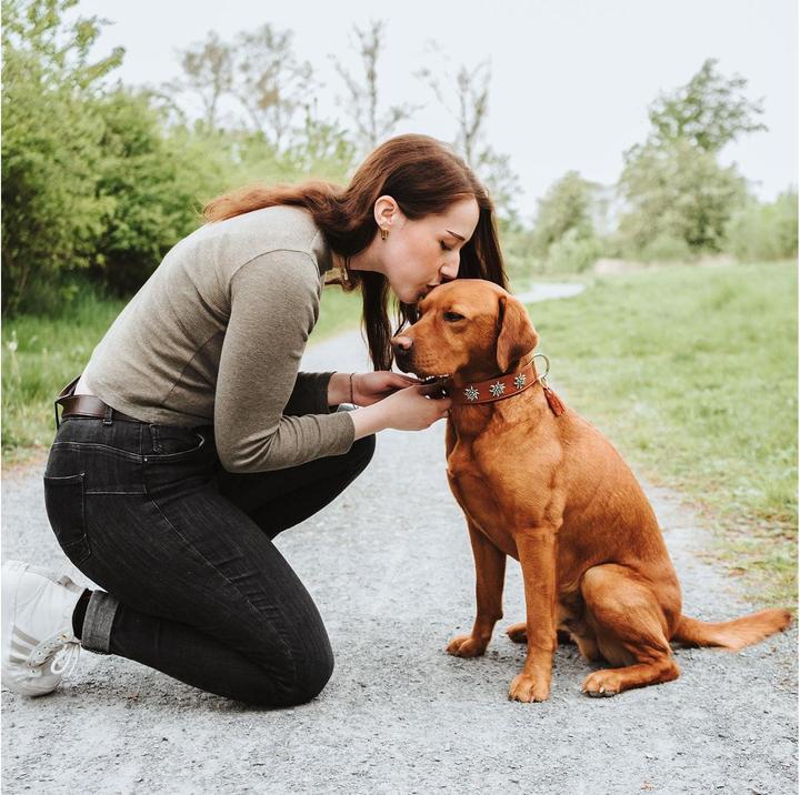 Immagine prodotto Hunter Collare Monaco per cani 42 (42, Cane, Generale)