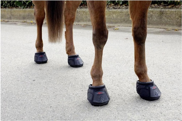 Image du produit Covalliero Chaussure à sabot (seule)