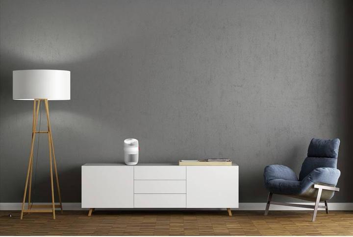 Actual product image Boneco P130 (36 m²)