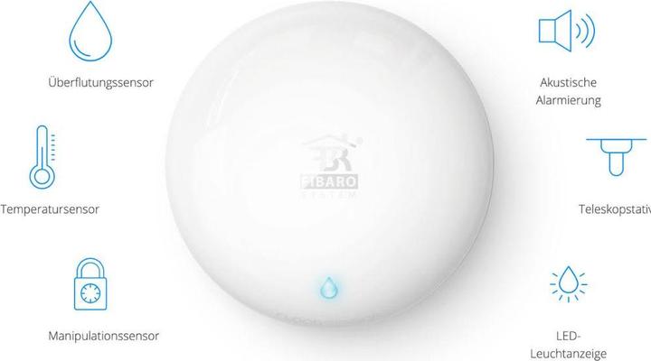 Actual product image Fibaro Flood Sensor +
