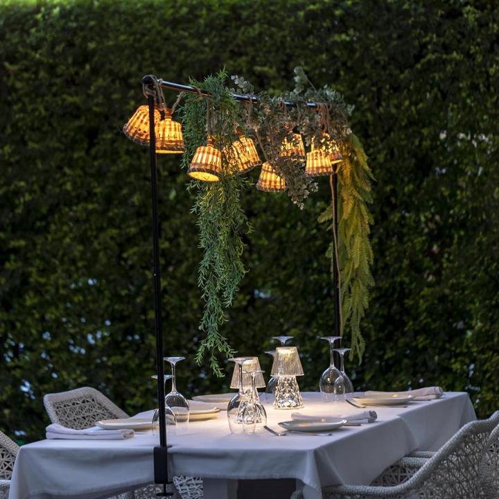 Actual product image Newgarden Aurora (5 m)