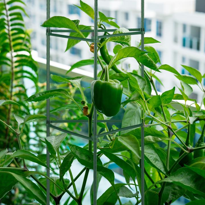 Immagine prodotto Relaxdays 4xsupporti-rampicanti (32 cm, 32 cm)