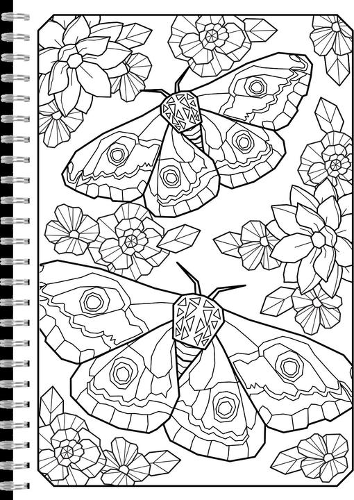 Produktbild Polygone Magie