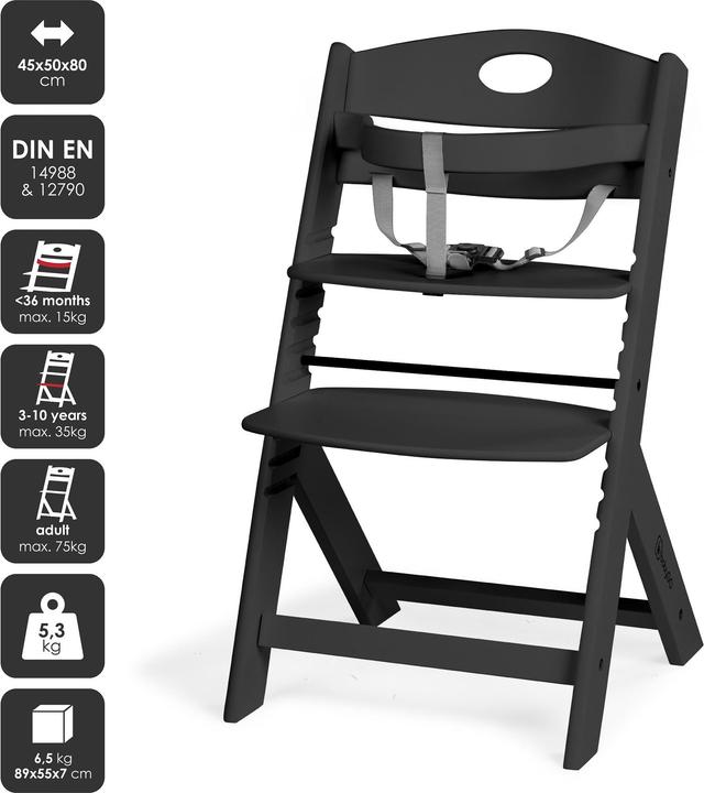 Actual product image BabyGo Family Pro Hochstuhl inkl. Tisch (Highchair)