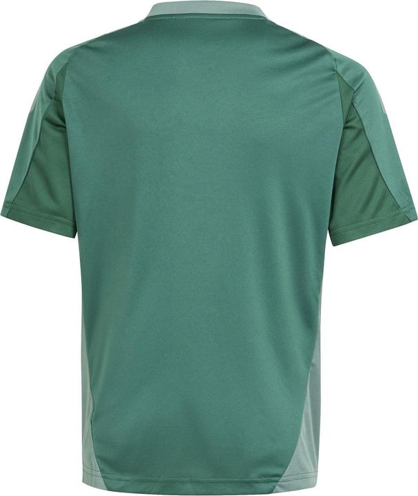 Actual product image adidas TIRO24 C TRJSYY (152)