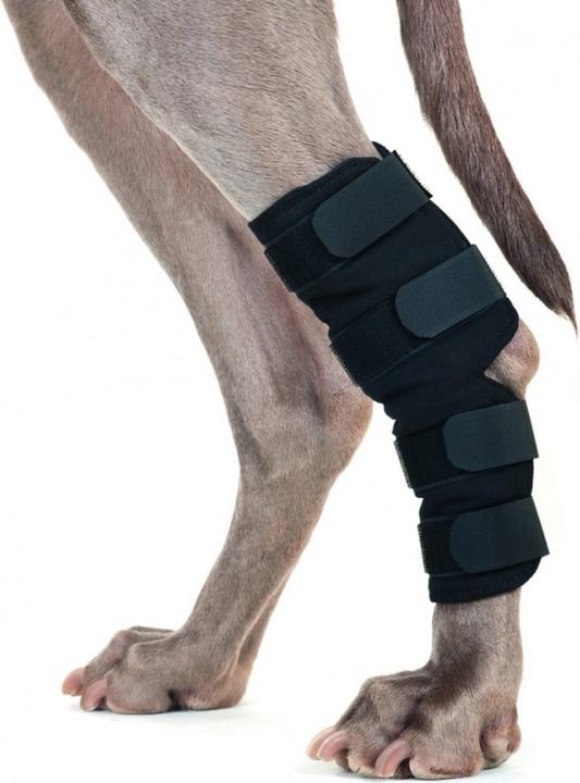 Produktbild Back on Track Sprunggelenkschoner mit 4 Klettverschlüssen (Hund)