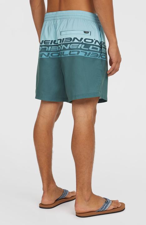 Produktbild O'Neill Cali Stripe 16" Swimshorts (L)