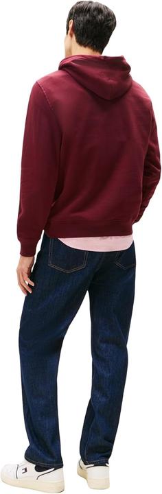 Produktbild Tommy Jeans Tjm Reg Linear Logo Hoodie Ext (S)