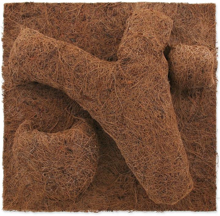 Repti Planet Coco Pflanzgefäss 30 x 30 cm