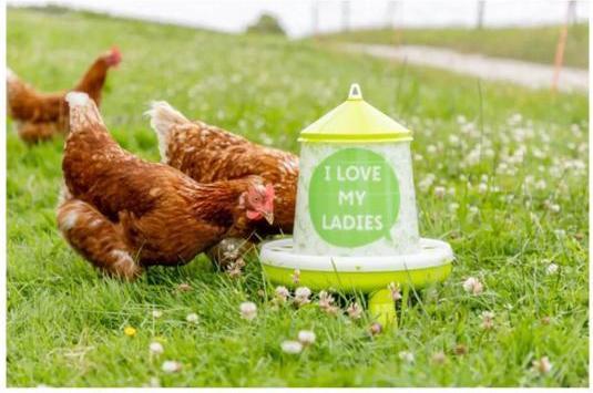 Productafbeelding Kerbl Voederhuisje met voetjes, voor pluimvee (kuikens/kippen/eendjes), voedselveilig, met motief