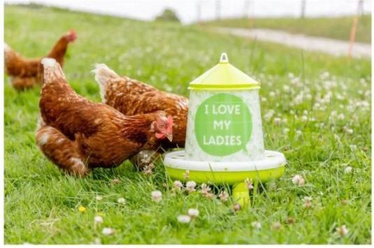 Actual product image Kerbl Feeder with feet, for poultry (chicks/chickens/ducks), food-safe, with motif (2.40 l)