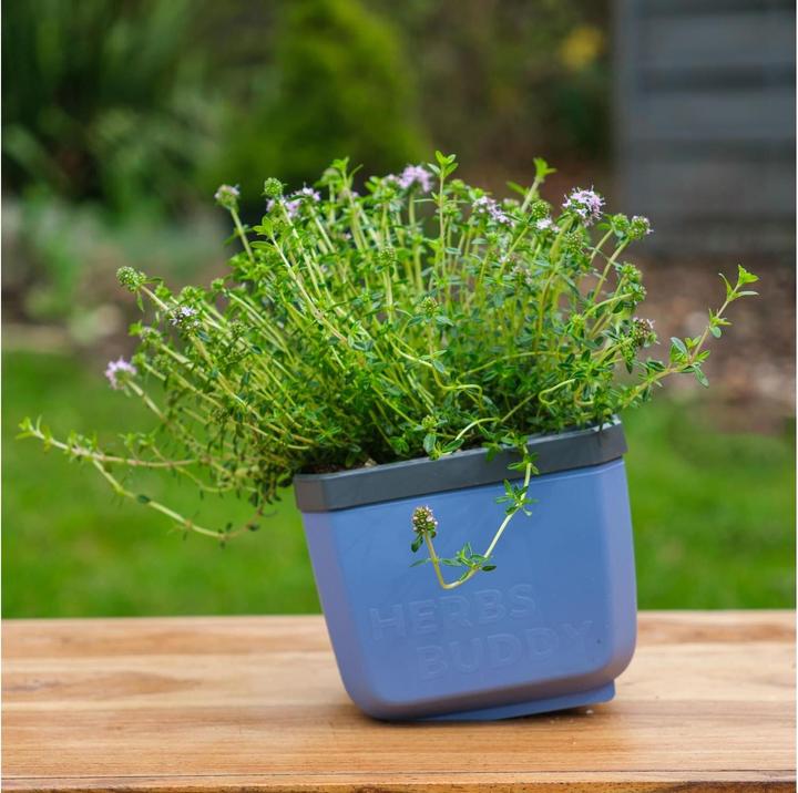 Produktbild Gusta Garden Herbs Buddy Kräutertopf (49 x 15 x 14.50 cm)