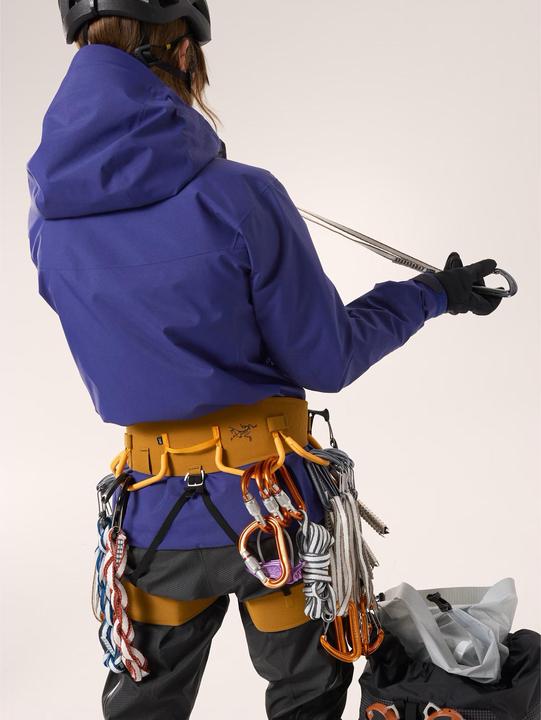 Produktbild Arc'teryx Alpha SV (M)