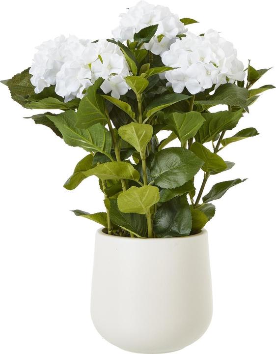 Produktbild Hill Interiors Künstliche Topfpflanze (63 cm)