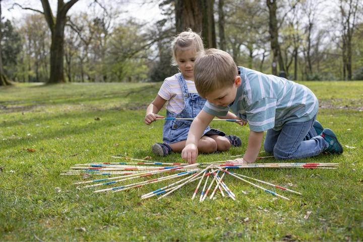 Productafbeelding Eichhorn Outdoor Mikado XL (Duits, Frans, Italiaans, Engels)
