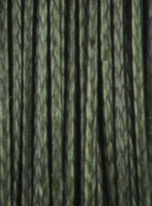Immagine prodotto Carp Spirit Ballistic 20 m