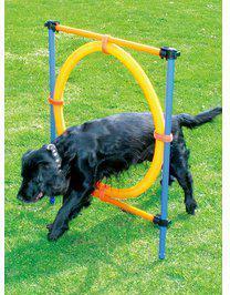 Image du produit Pawise Anneau Agility Ø55Cm - (636.9004) (Taille unique, Agility)