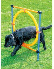Actual product image Pawise Agility Ring Ø55Cm - (636.9004) (One size, Agility)