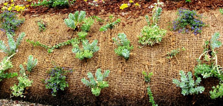 Immagine prodotto Aquagart 15m Böschungsmatte Kokos 1m breit Teichfolie Kokosmatte 750g