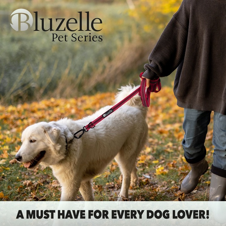 Immagine prodotto Bluzelle Linea doppia (XL, Cane, Passeggiare)