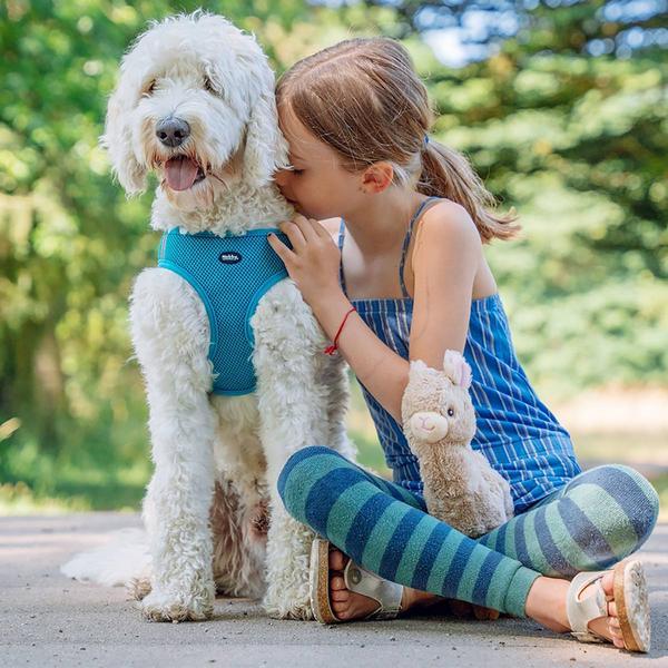 Actual product image Nobby Harness Mesh Reflect (S, Dog, General)