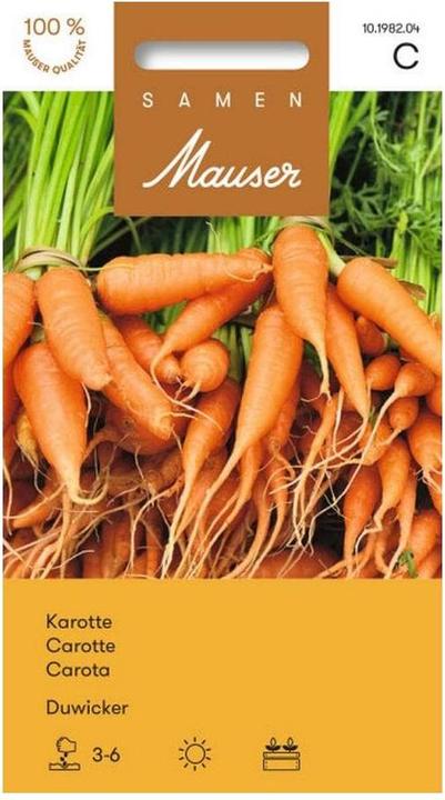 Samen Mauser Karotte Duwicker (Gemüsesamen)