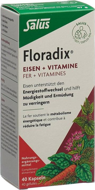 Image du produit Salus Fer + vitamines (1 pcs, Capsules, 73 g)