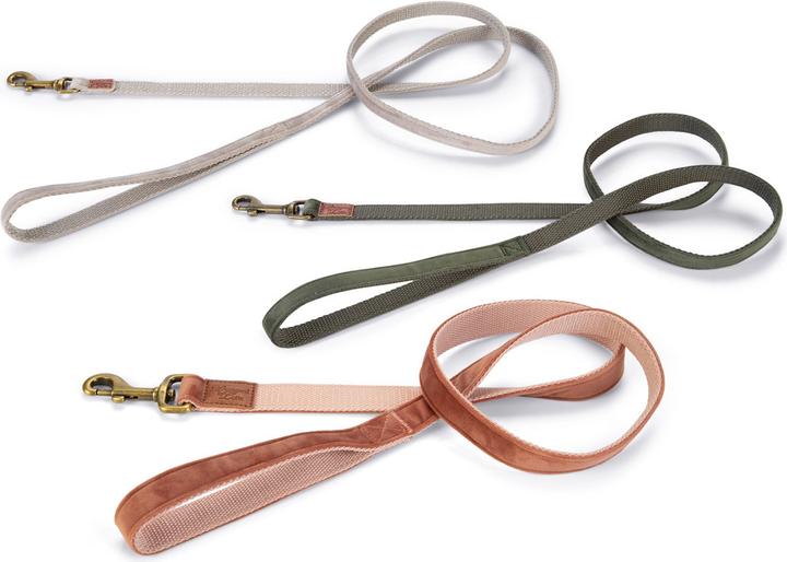 Produktbild Designed by Lotte Velura (Hund, Spazieren)