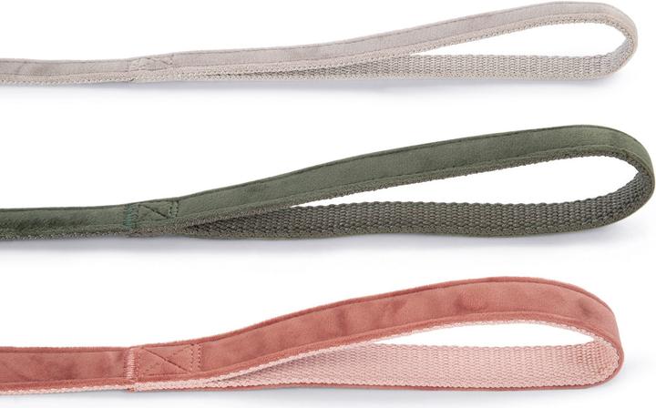 Produktbild Designed by Lotte Velura (Hund, Spazieren)