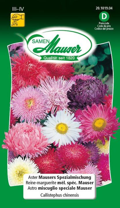 Samen Mauser Aster Mauser's Spezialmischung (Blumensamen)