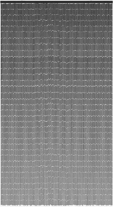 Produktbild vidaXL Türvorhang (120 x 220 cm)