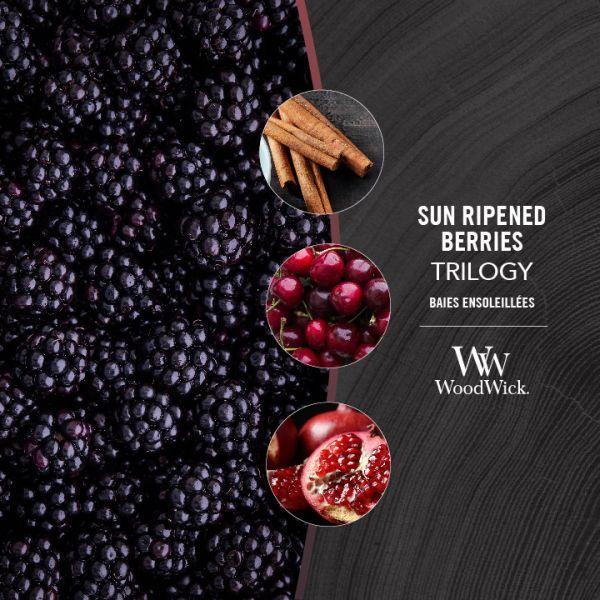 Immagine prodotto WoodWick Sun Ripened Berries (453.60 g)