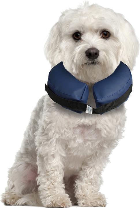 Actual product image Karlie Inflatable dog collar (Dog)